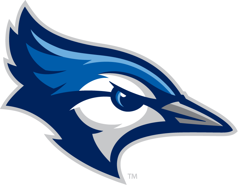 Creighton Bluejays 2013-Pres Alternate Logo v2 DIY iron on transfer (heat transfer)